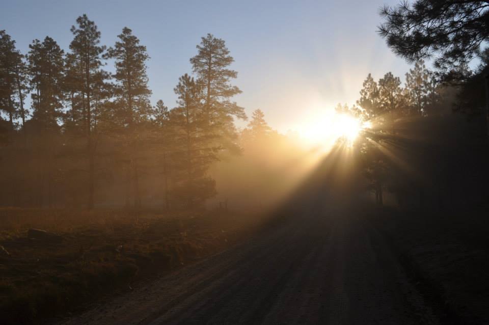 Sunrise